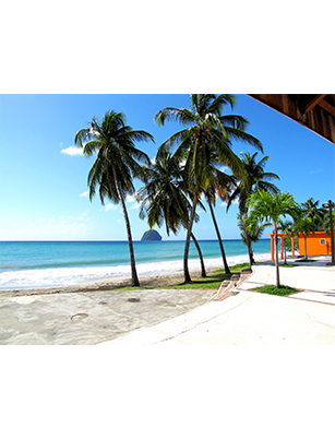 Lieu de travail en Martinique